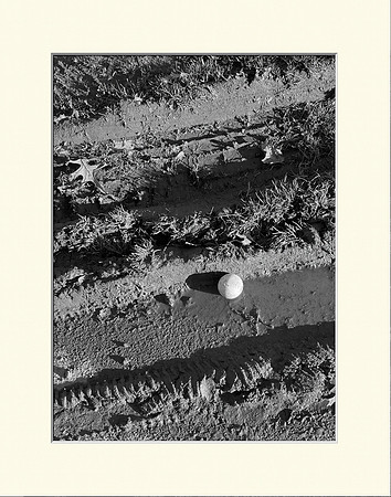 62024whiteball1114