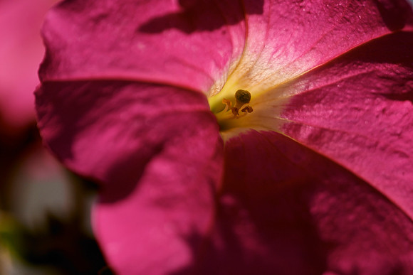 crw_5620