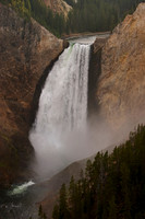 CRW_3509
