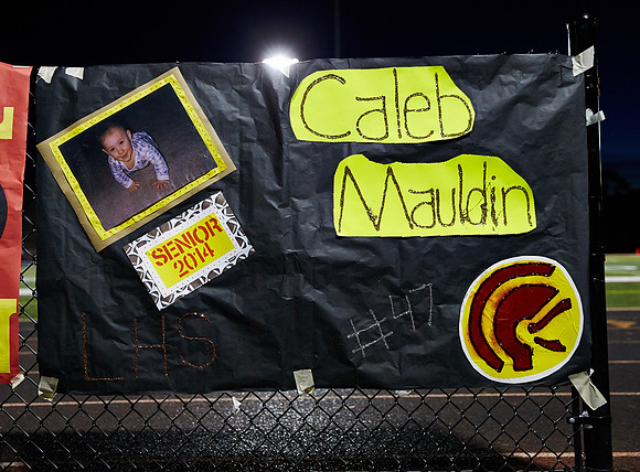 035LE11-8-13