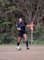 020soc11-7-20