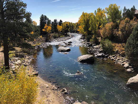 iPhoneX_3491