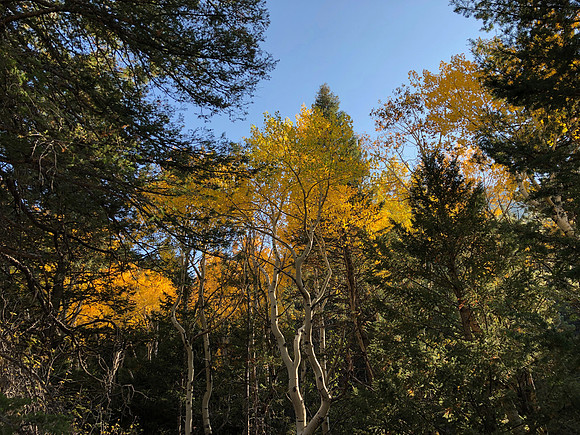 iPhoneX_3528