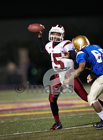 2124gmsaa11-17-12