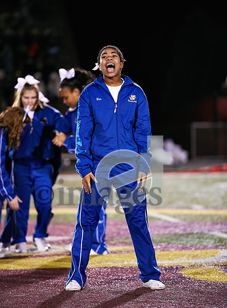 2130gmsaa11-17-12