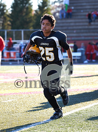 1294gmsaa11-17-12