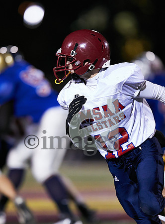 1817gmsaa11-17-12