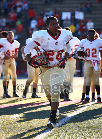 1331gmsaa11-17-12