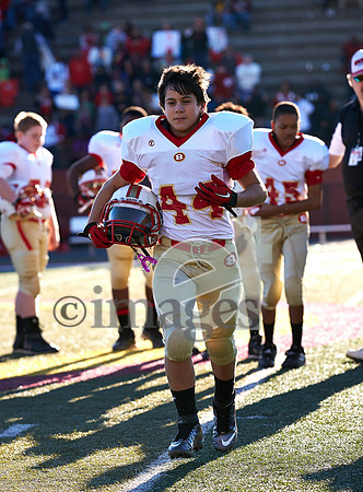 1336gmsaa11-17-12