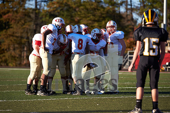 1393gmsaa11-17-12