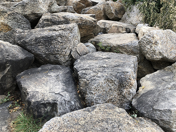 iPhoneX_3513