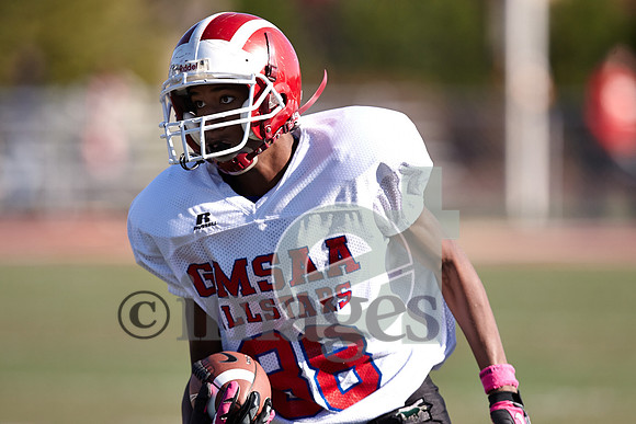 1036gmsaa1-17-13