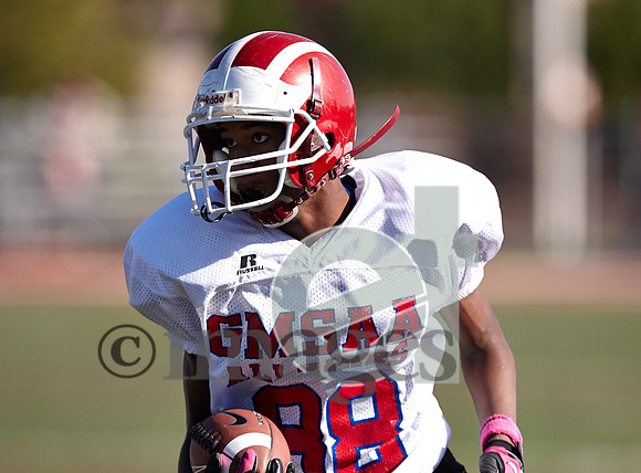 1037gmsaa1-17-13