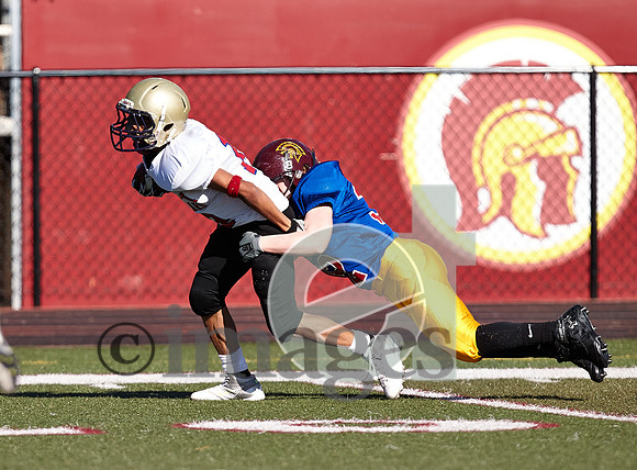 1042gmsaa1-17-13