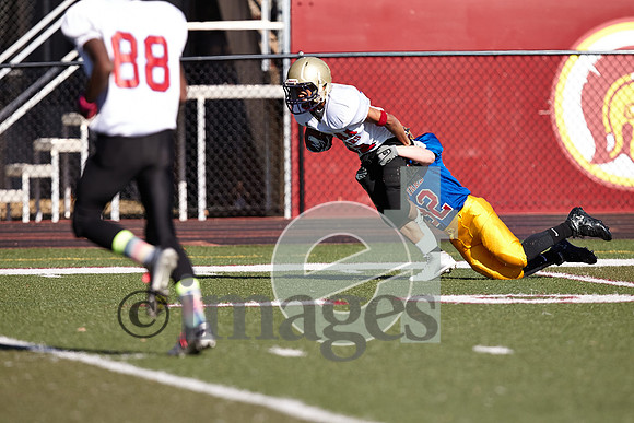 1043gmsaa1-17-13