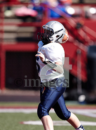 649gmsaa1-17-13