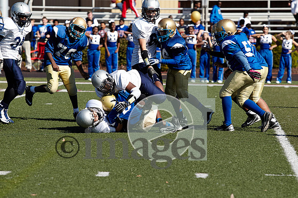 660gmsaa1-17-13