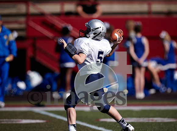 733gmsaa1-17-13