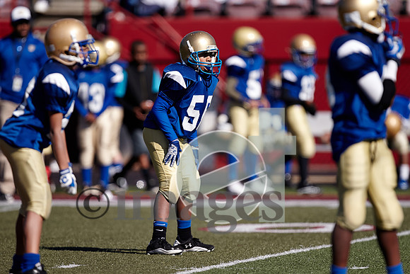 736gmsaa1-17-13