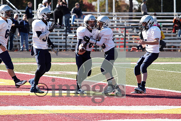 752gmsaa1-17-13