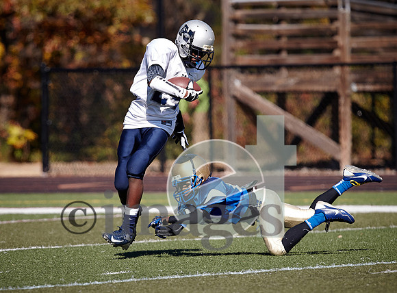 804gmsaa1-17-13