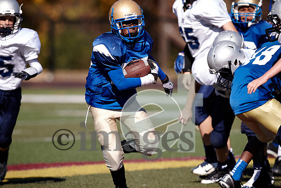 838gmsaa1-17-13