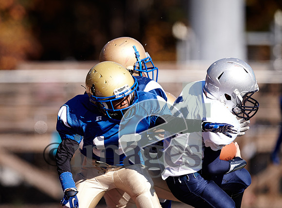 889gmsaa1-17-13