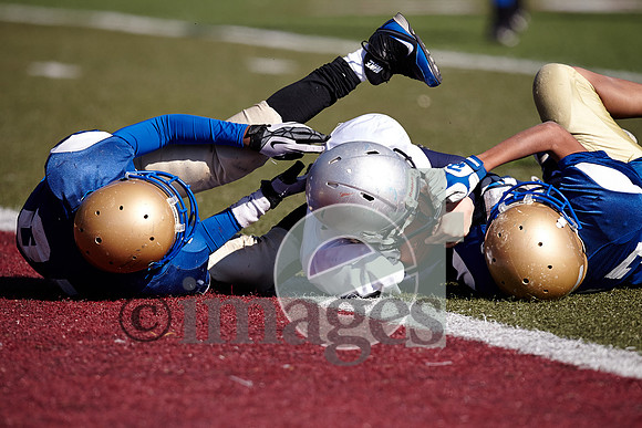 891gmsaa1-17-13