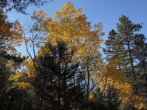 iPhoneX_3526