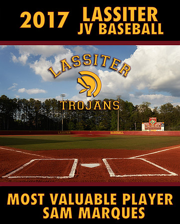 jvMVP17