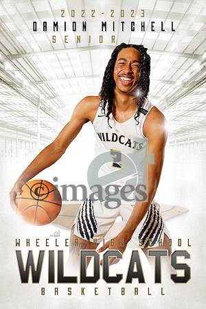 mitchelld2216x24 copy