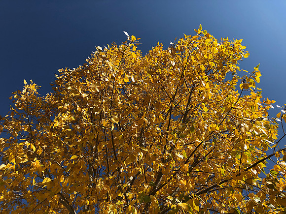 iPhoneX_3521