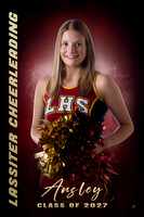 2026ansley16x24