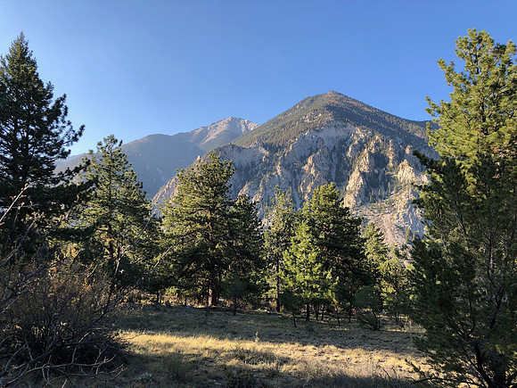 iPhoneX_3524