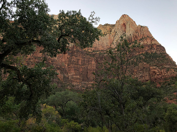 iPhoneX_3428