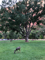 iPhoneX_3423
