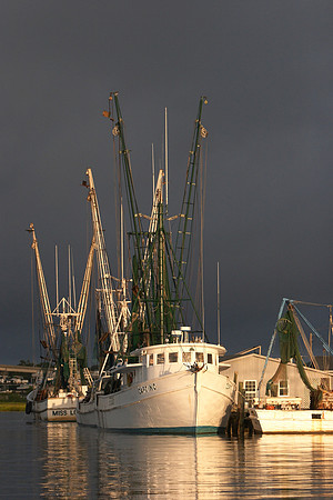 CRW_3264