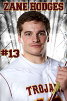 hodgesLVB17