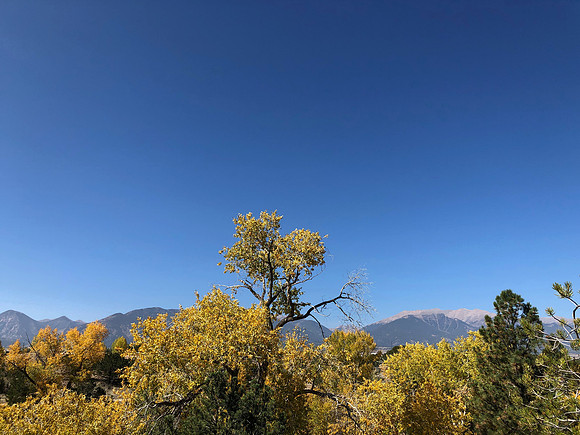 iPhoneX_3483