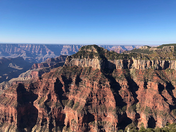 iPhoneX_3457