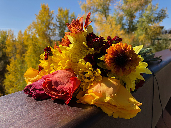 iPhoneX_3478