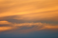 crw_4631