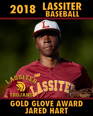 goldglove18p2
