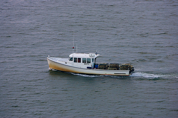 new england cruise9263