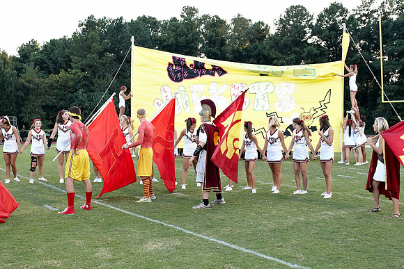 028Lsp9-3-10