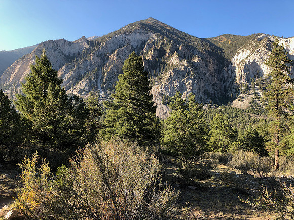 iPhoneX_3523
