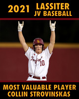 jvMVP21