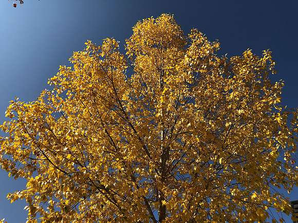 iPhoneX_3498