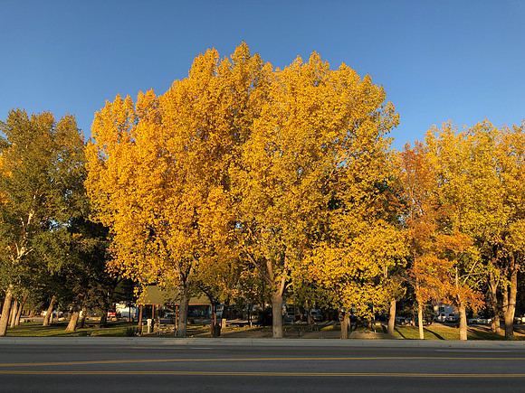 iPhoneX_3533