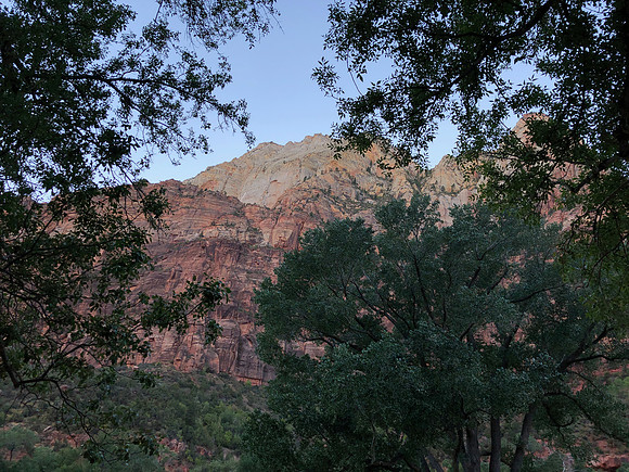 iPhoneX_3426